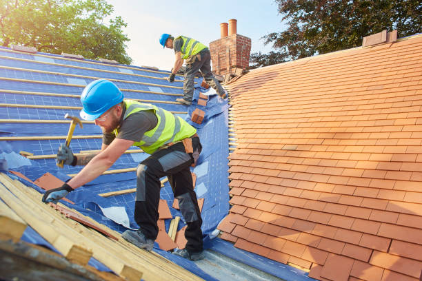 Best Emergency Roof Repair Services  in Felton, DE